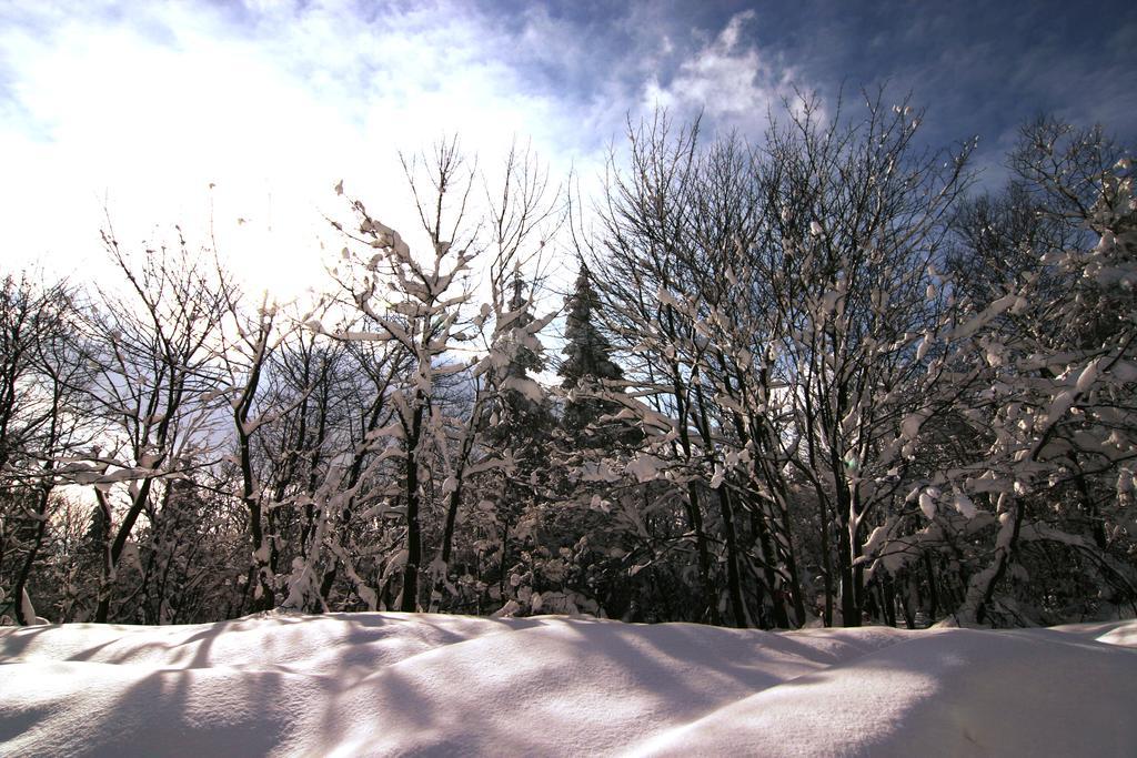 Pension Zueschener Bauernstuben Winterberg Dış mekan fotoğraf