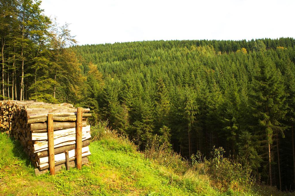 Pension Zueschener Bauernstuben Winterberg Dış mekan fotoğraf
